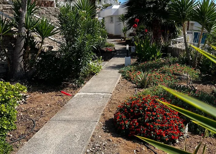 Casa Rica *